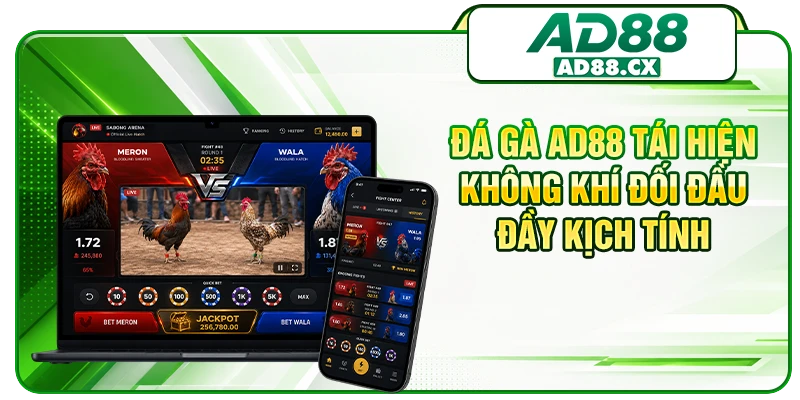 Đá gà AD88 tái hiện không khí đối đầu đầy kịch tính